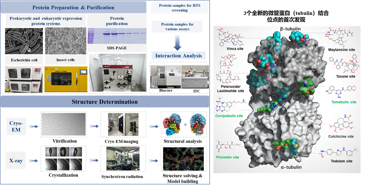 结构生物学平台